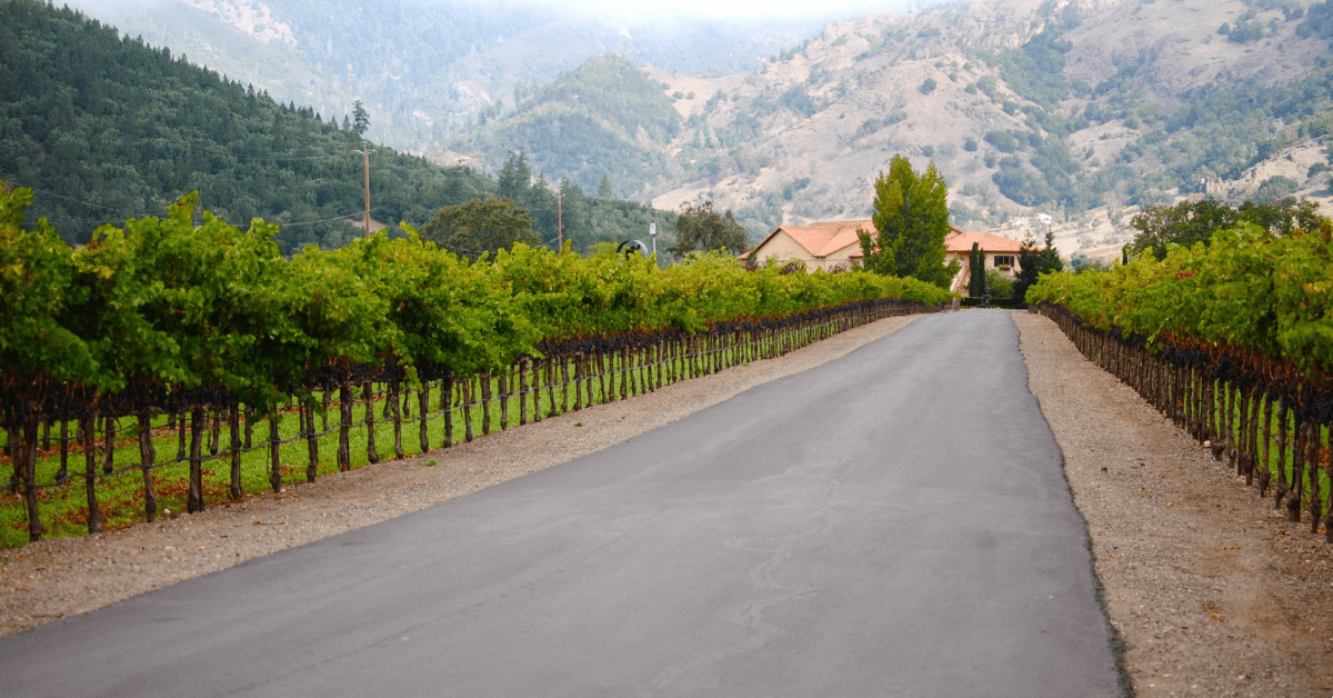 napa valley bachelorette