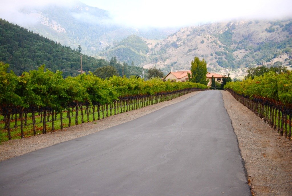 Napa Valley, CA | My Top 15 Trips of 2015