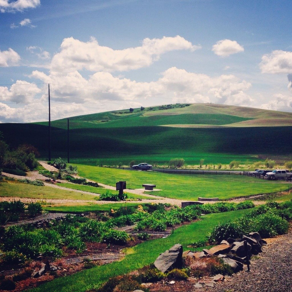 Things to do in Moscow Idaho