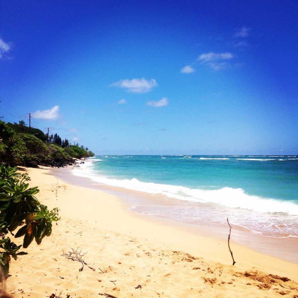 Oahu, Hawaii | Traveling Spud