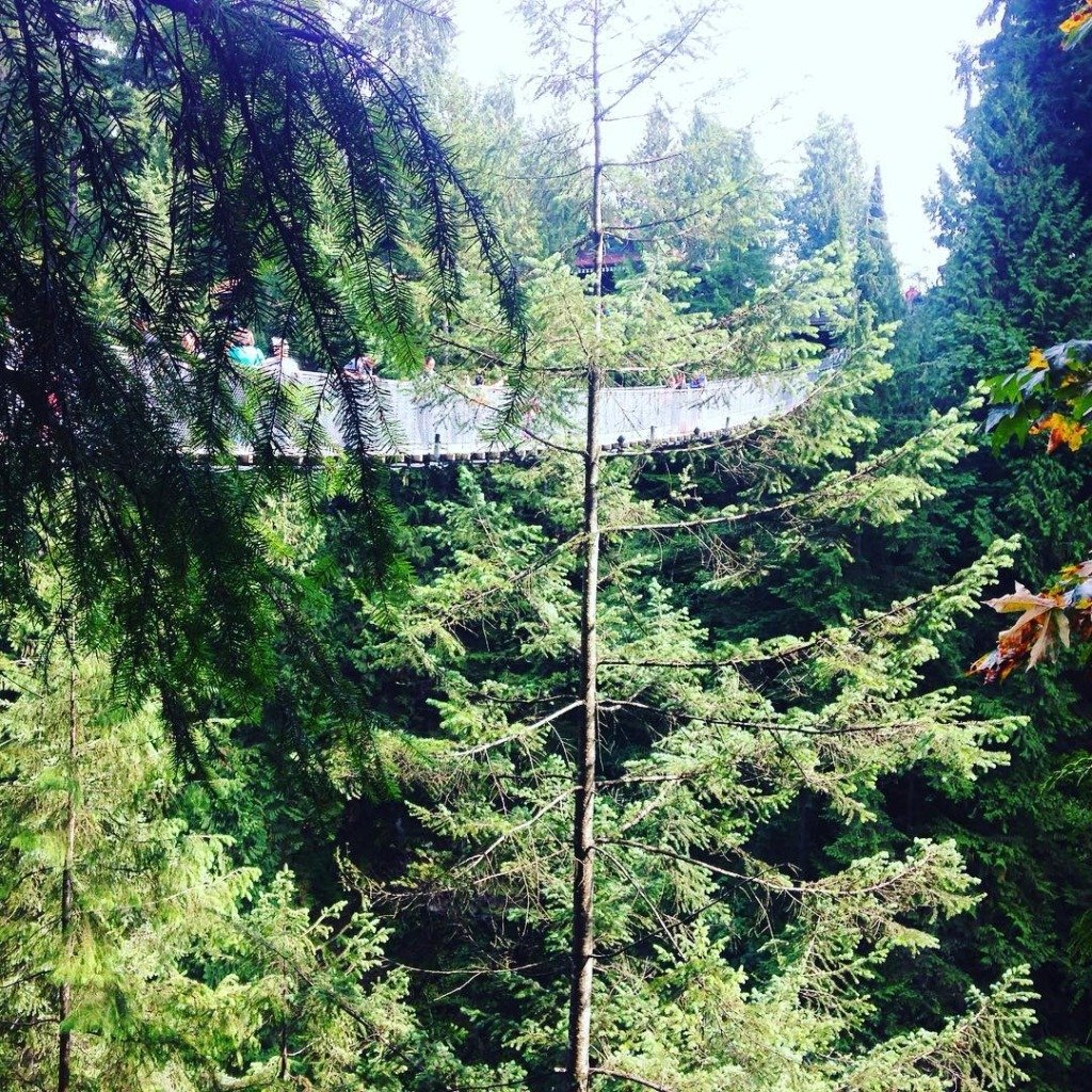 The Capilano Suspension bridge in Vancouver BC