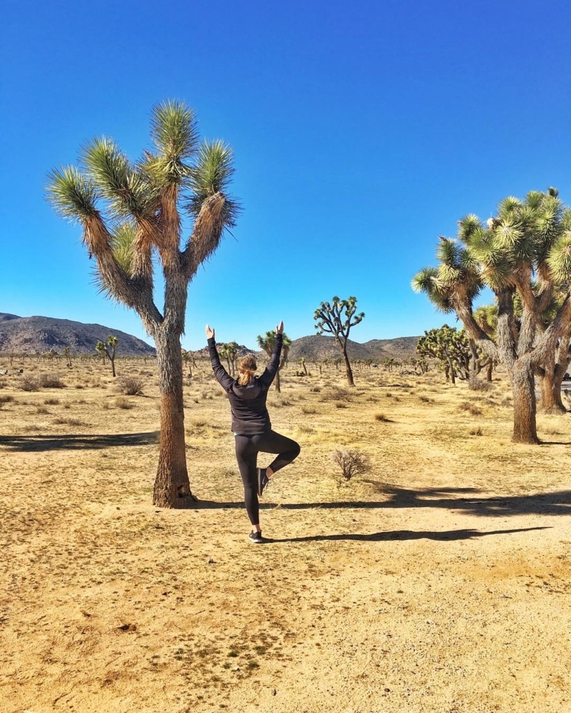 Joshua Tree fun things to do 8 Things to Do in Joshua Tree National Park | Traveling Spud