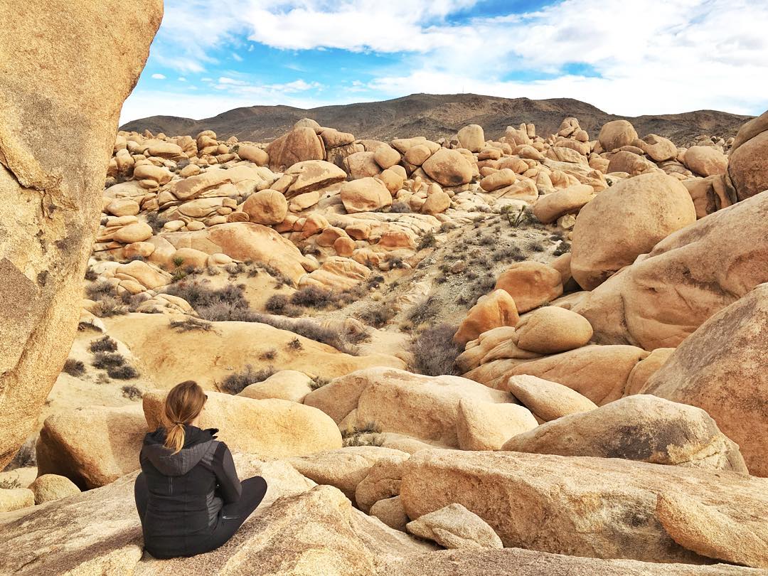 Things to Do in Joshua Tree National Park