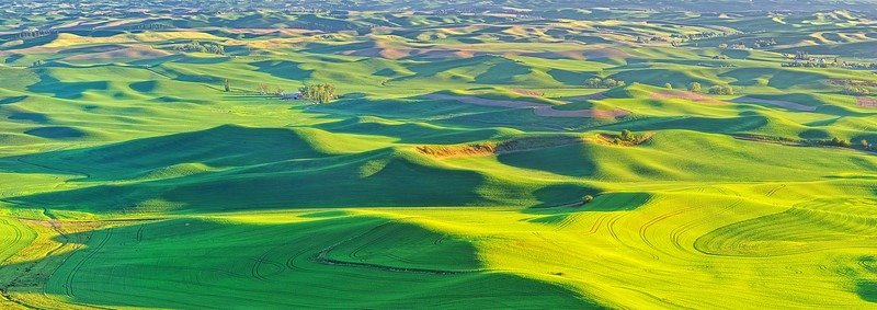 Moscow Idaho