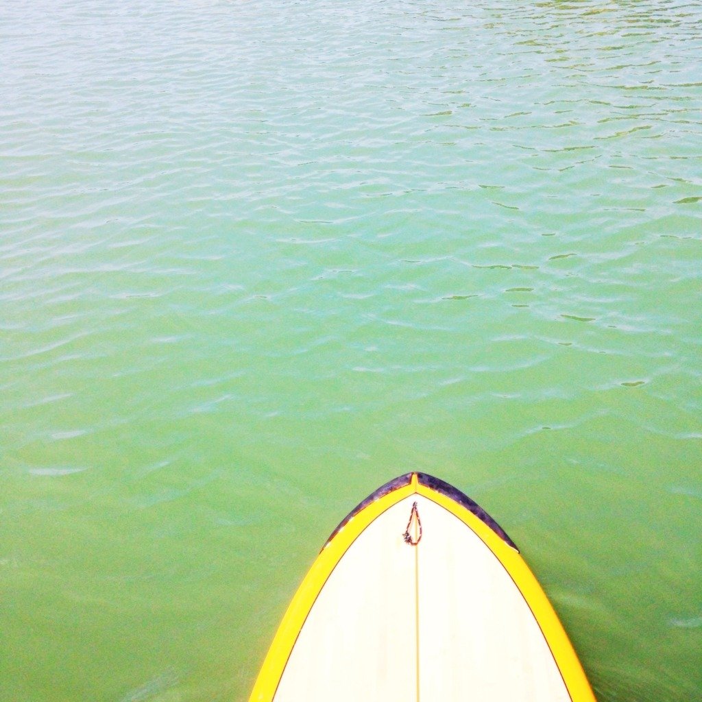 Stand Up Paddle Boarding with Sea Treks