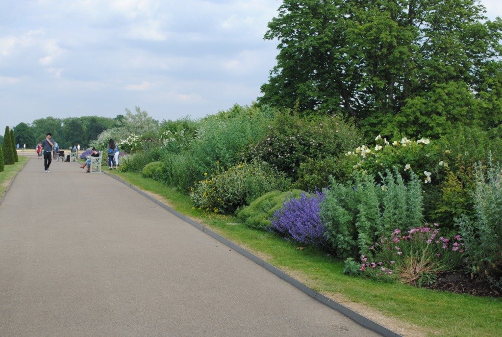 people at the park