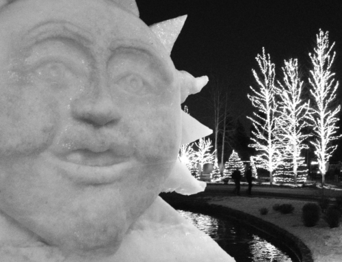 The 10 Best Winter Activities in Sun Valley Idaho