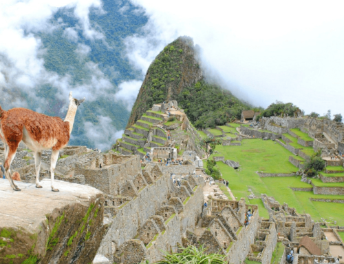 A Guide to Hiking The Inca Trail To Machu Picchu in 4 Days