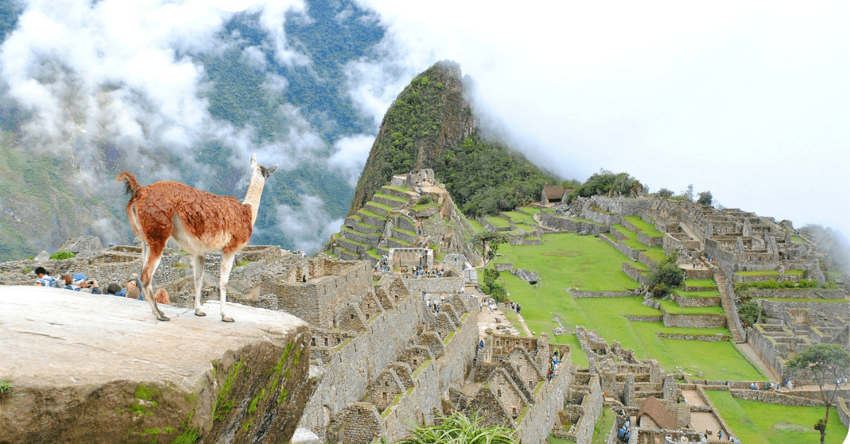 looking at machu picchu