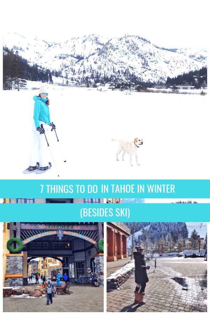 Winter travel guide