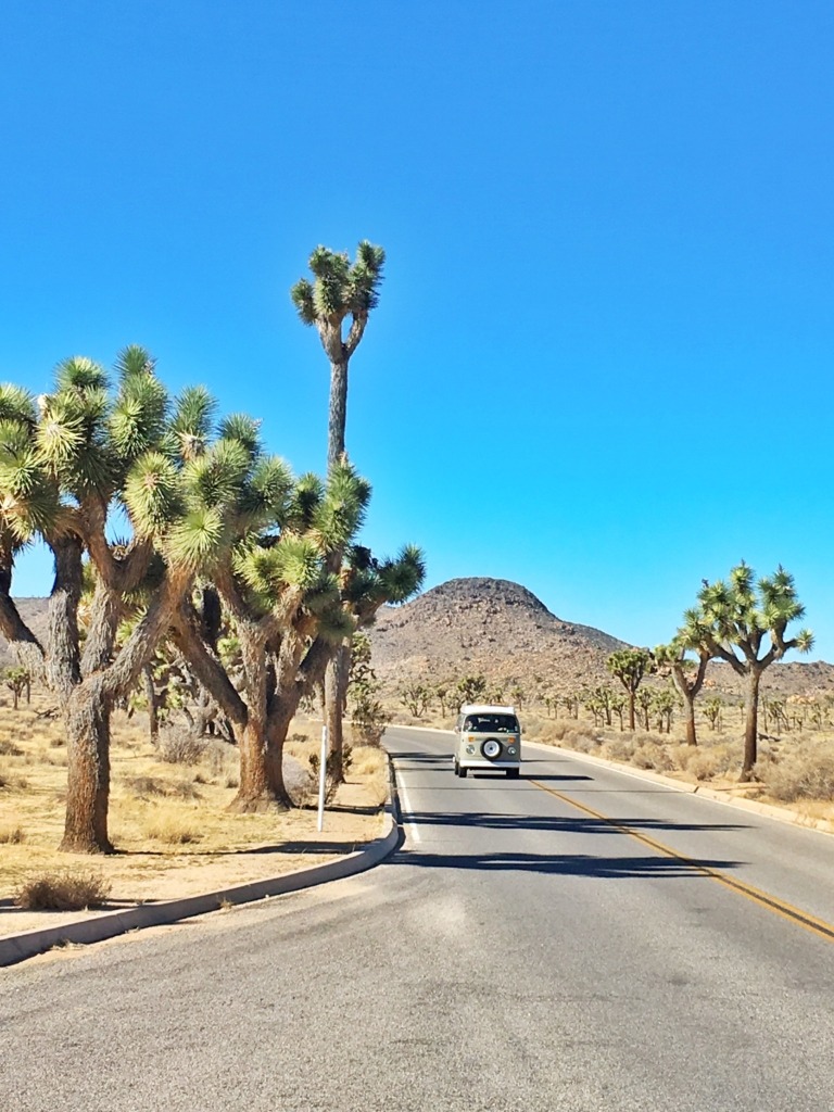 WHERE TO STAY IN JOSHUA TREE 8 Things to Do in Joshua Tree National Park | Traveling Spud