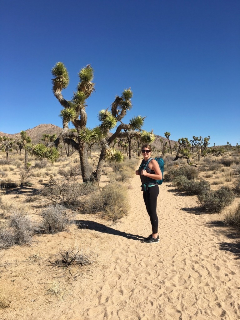 Hiking in Joshua Tree 8 Things to Do in Joshua Tree National Park | Traveling Spud