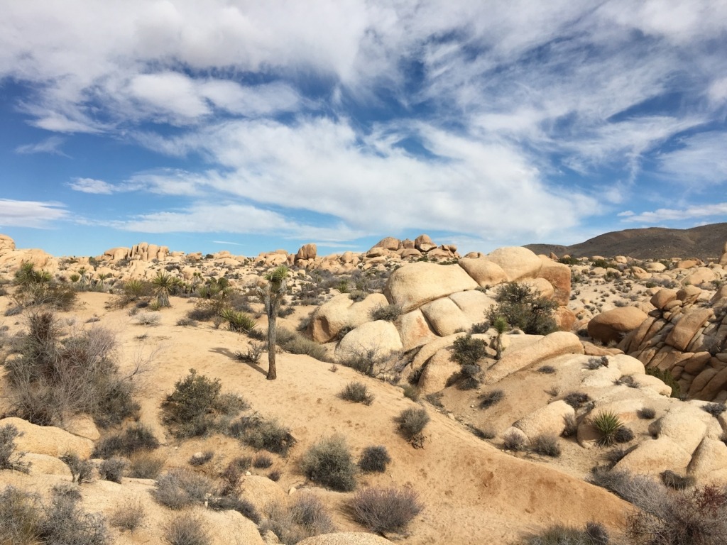 Hall of Horrors Joshua Tree Hall of Horrors rock formations