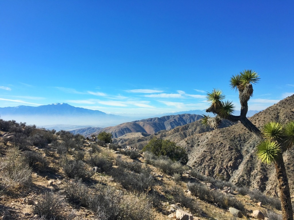 Guide to Joshua Tree National Park 8 Things to Do in Joshua Tree National Park | Traveling Spud