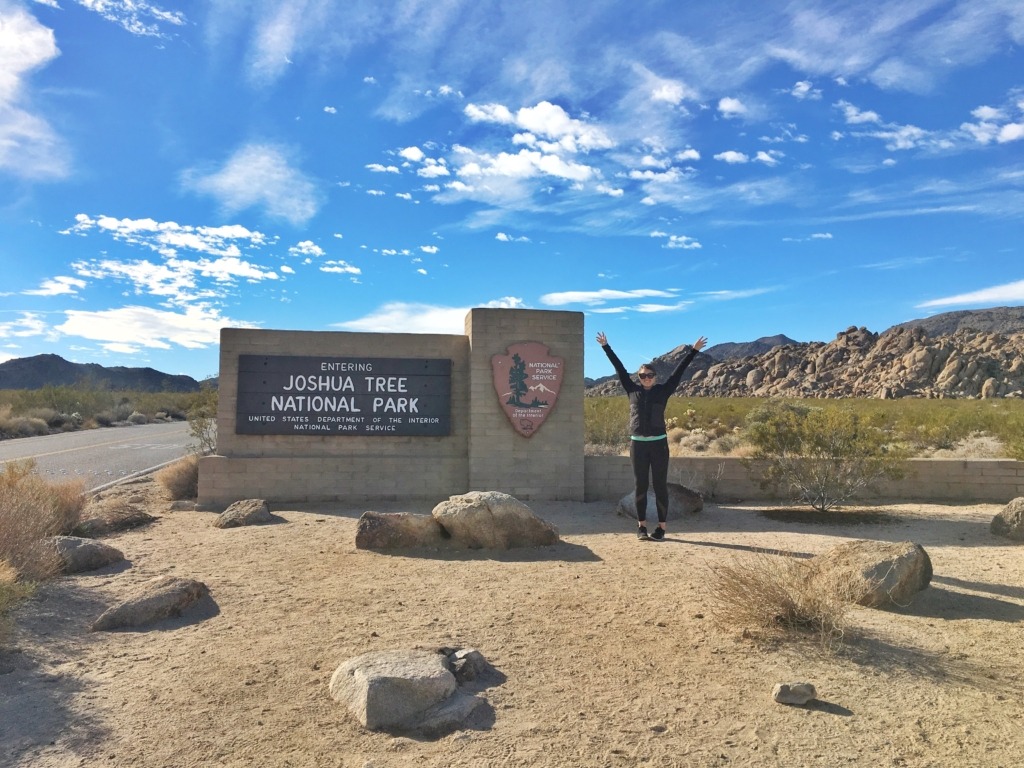Joshua Tree National Park 8 Things to Do in Joshua Tree National Park | Traveling Spud