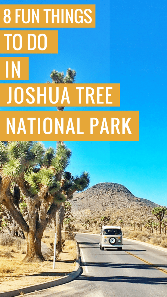 8 Things to Do in Joshua Tree 8 Fun Things to Do in Joshua Tree