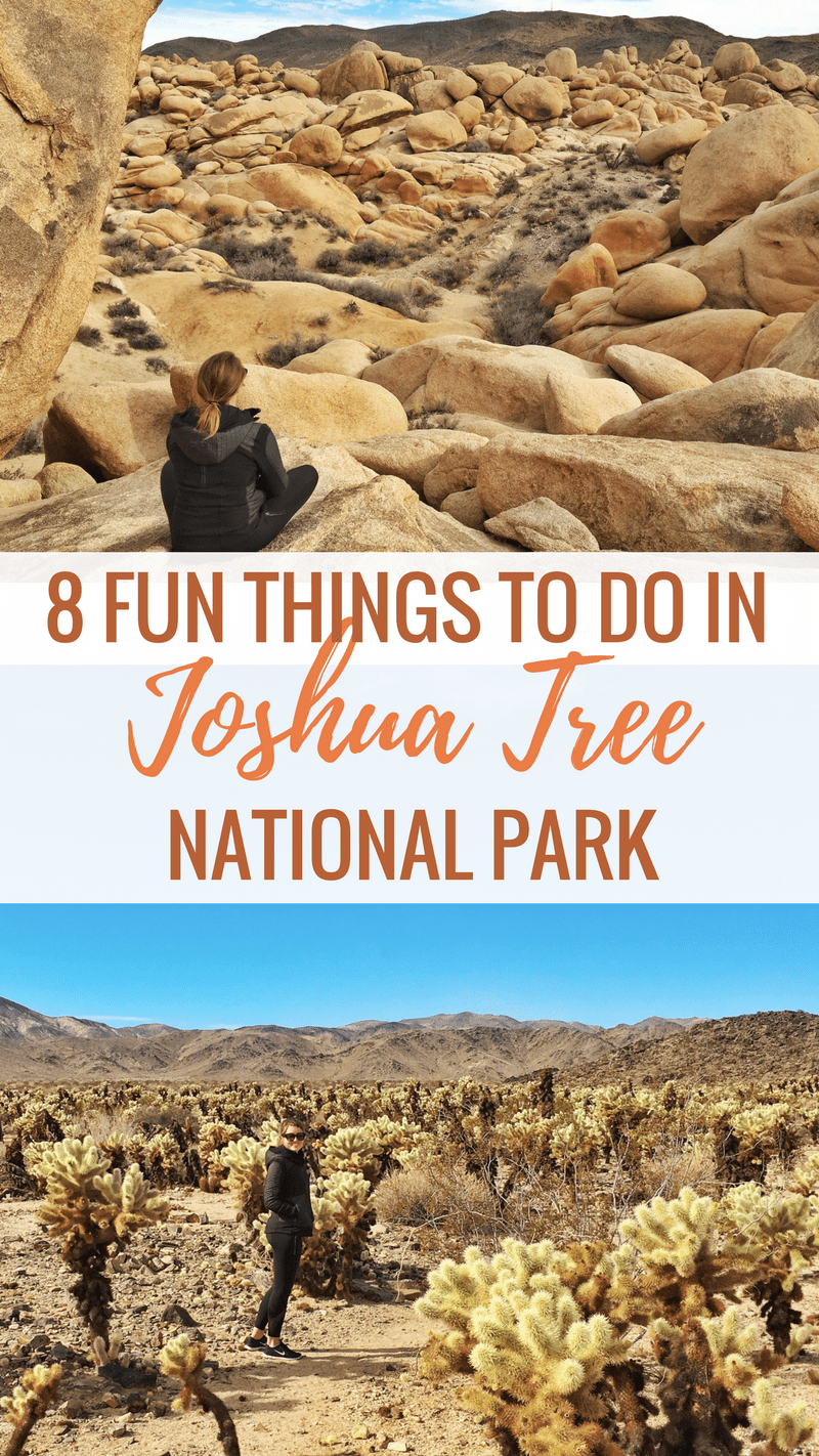 8 Fun Things to Do in Joshua Tree 8 Fun Things to Do in Joshua Tree