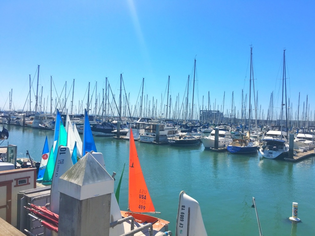 SF Bay Traveling Spud