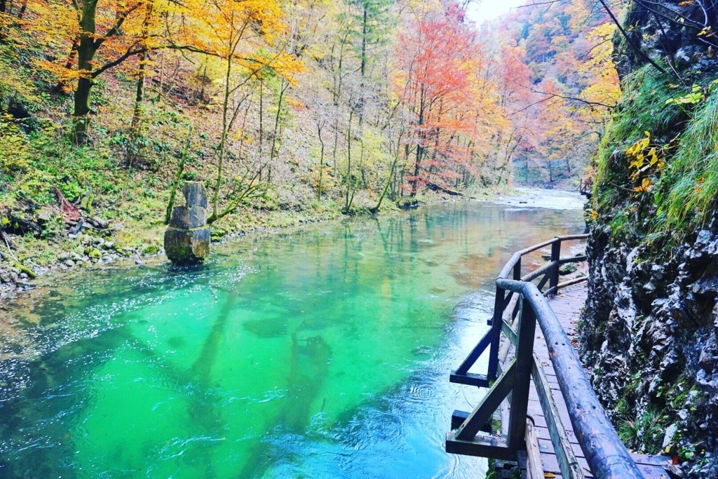 Vintgar Gorge