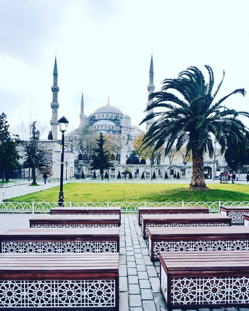 Diaries From The Middle East