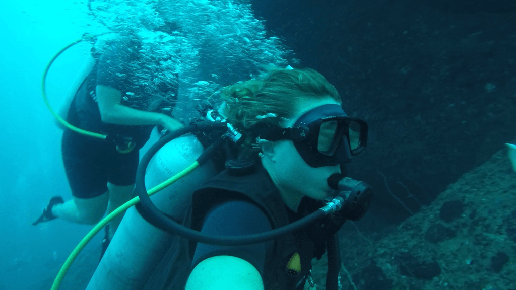 Ocean Sound Diving and Yoga