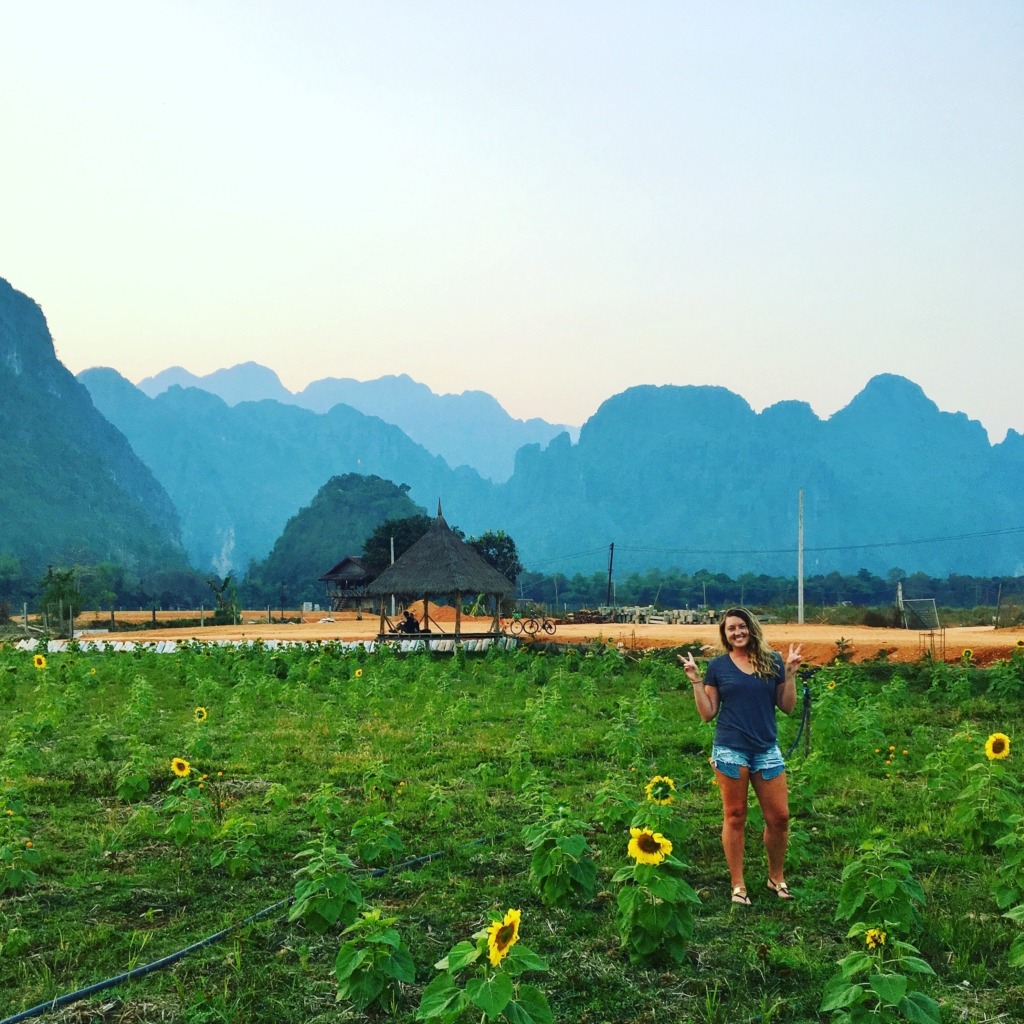Vang Vieng sunflowers | Diaries Around the World: 6 MONTHS