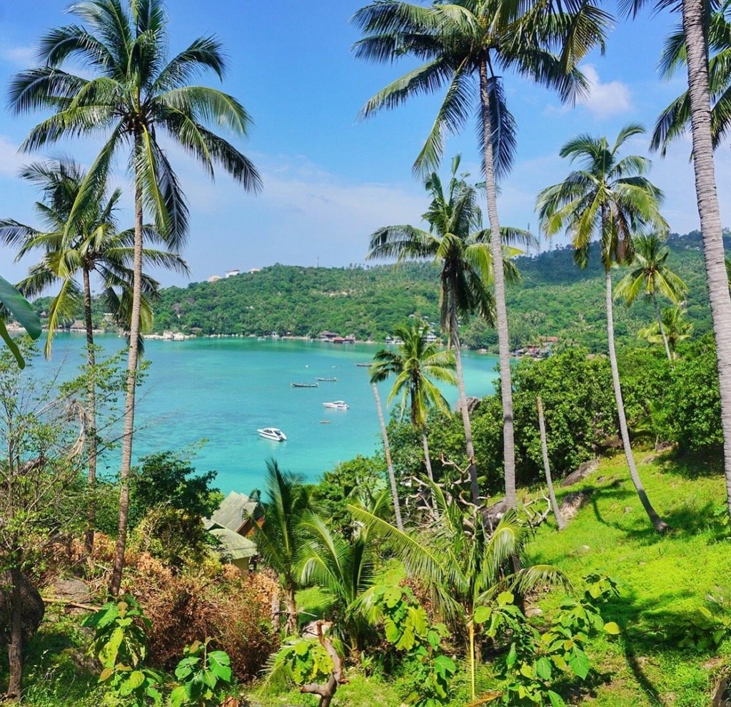 Koh Tao