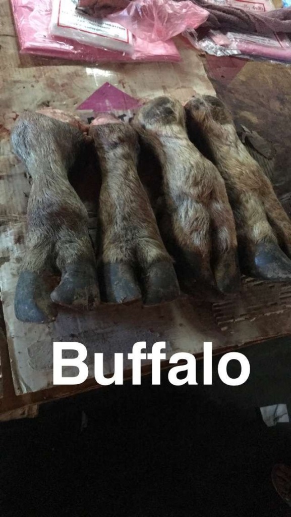 Diaries Around the World: 6 MONTHS