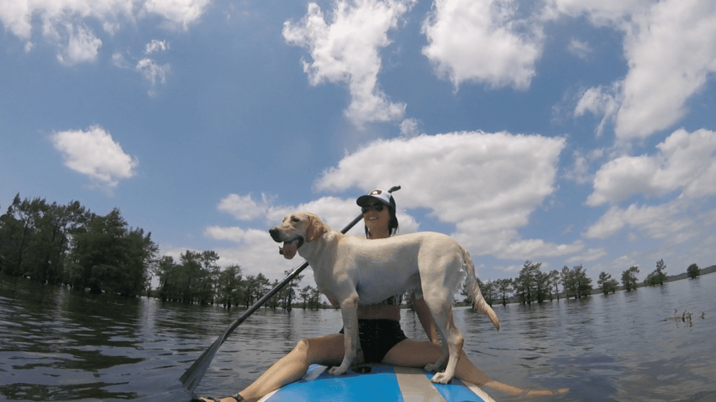 A Local's Guide to Shreveport Louisiana