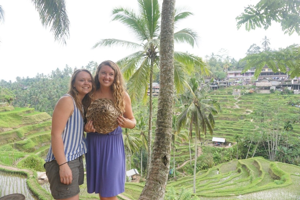 rice paddy fields rice paddy fields in Bali
