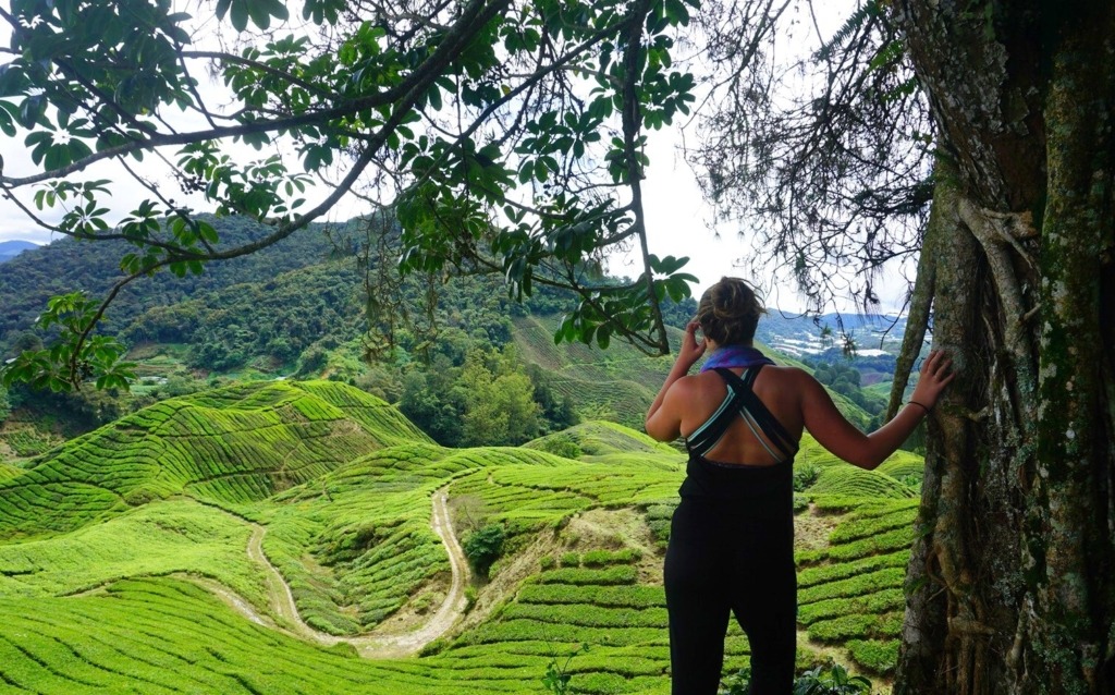 Malaysia nature Diaries Around the World: 6.5 Months