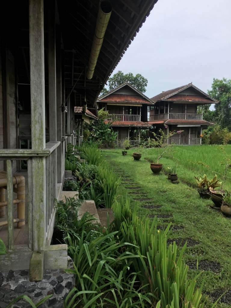 Bali Silent Retreat experience Bali Silent Retreat experience