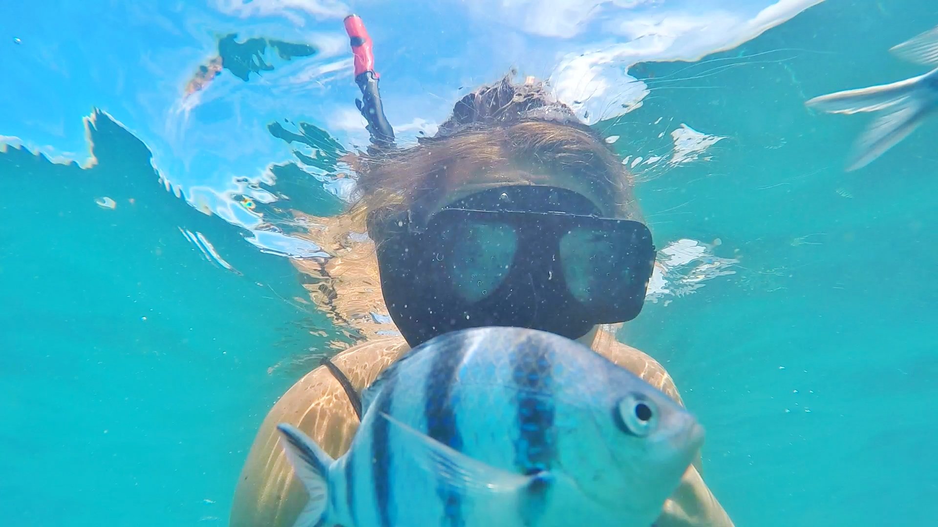 Awkward things that happen to you when you come back from traveling