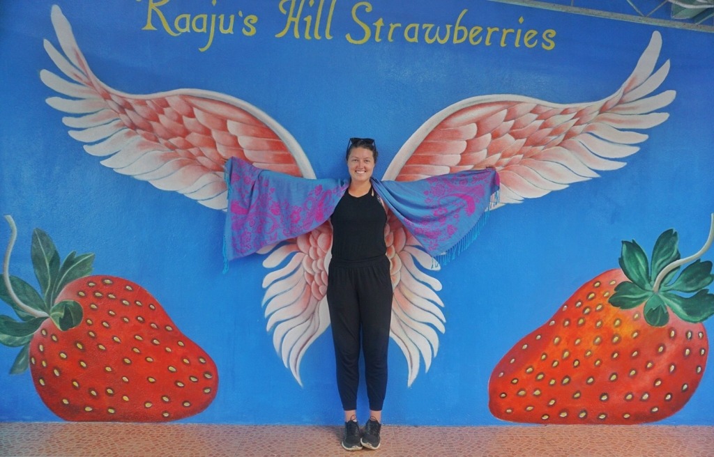 strawberry farm mural Diaries Around the World: 6.5 Months