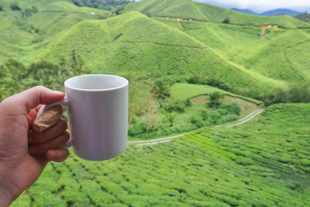 Cameron Highlands Diaries Around the World: 6.5 Months