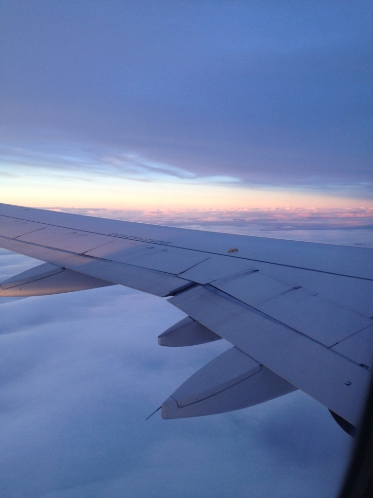 airplane wing view