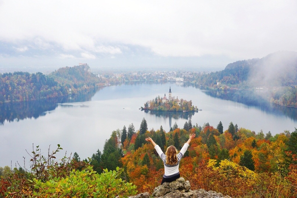 Mountain top fall foliage