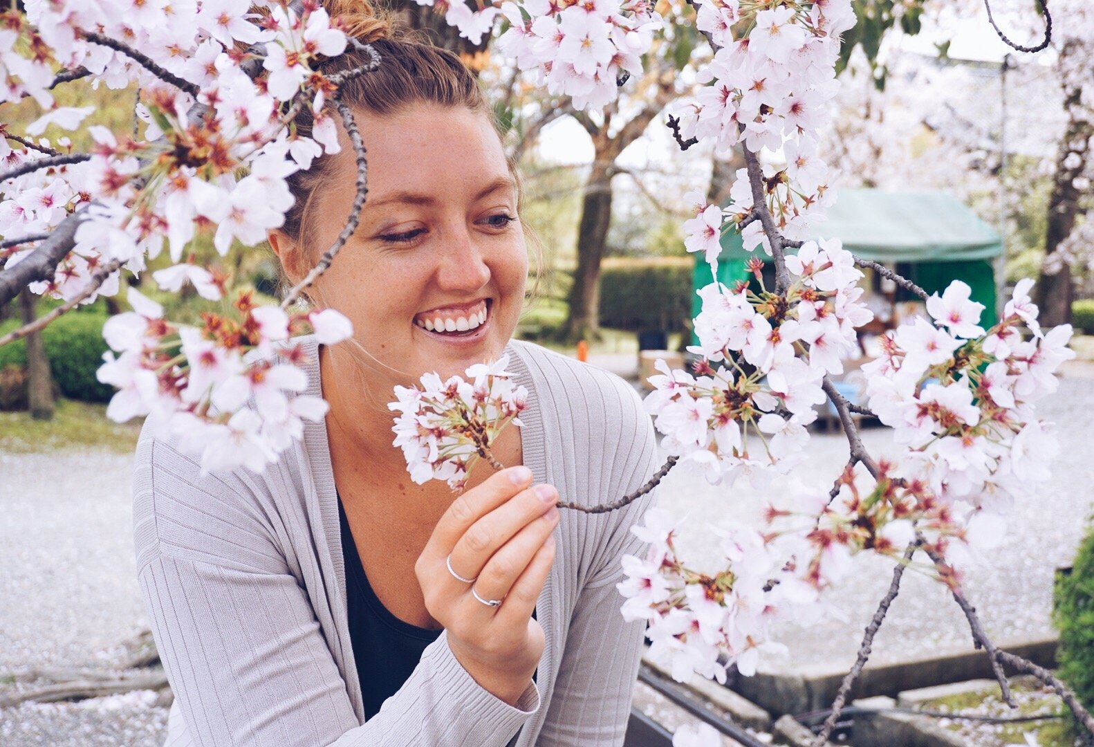 posing with cherry blossoms