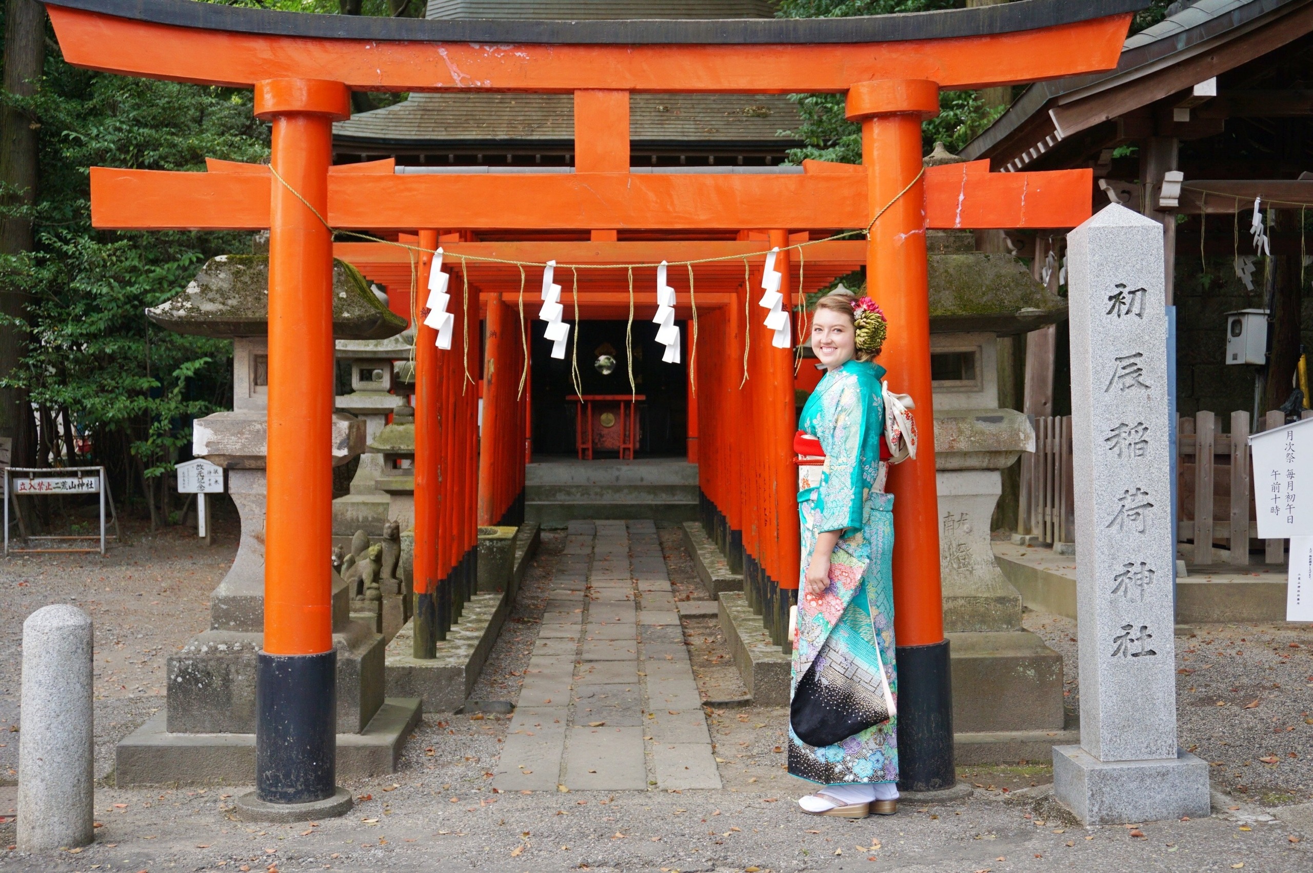 Diaries Around Japan