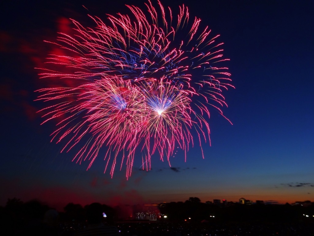 fireworks in Washington DC at night