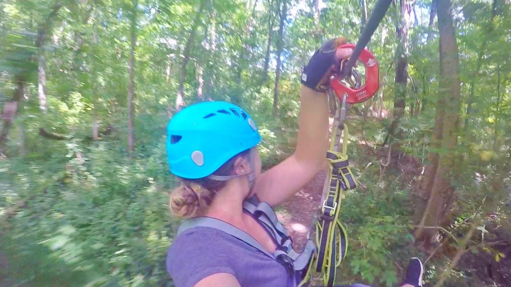 Ropes course at Koteewi Aerial Park