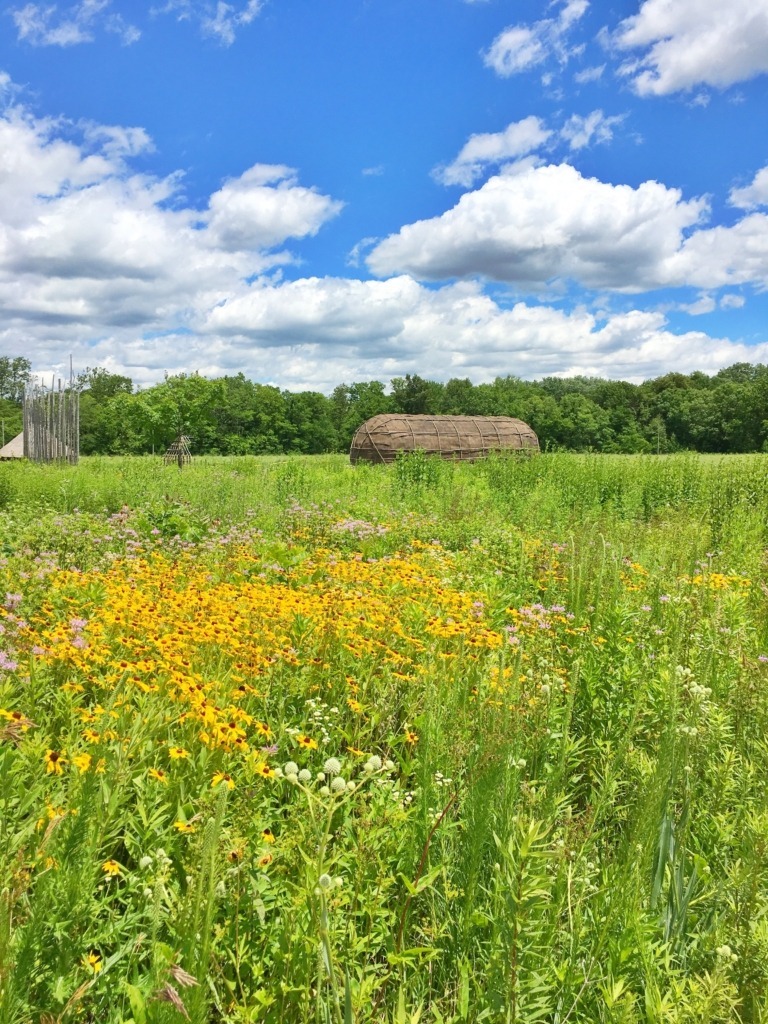 flower field at Strawtown Koteewi Park