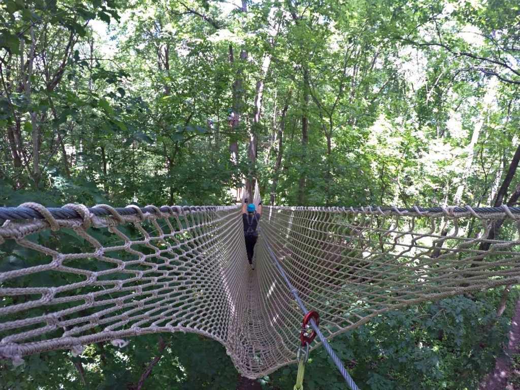 ropes course at Koteewi Aerial Park
