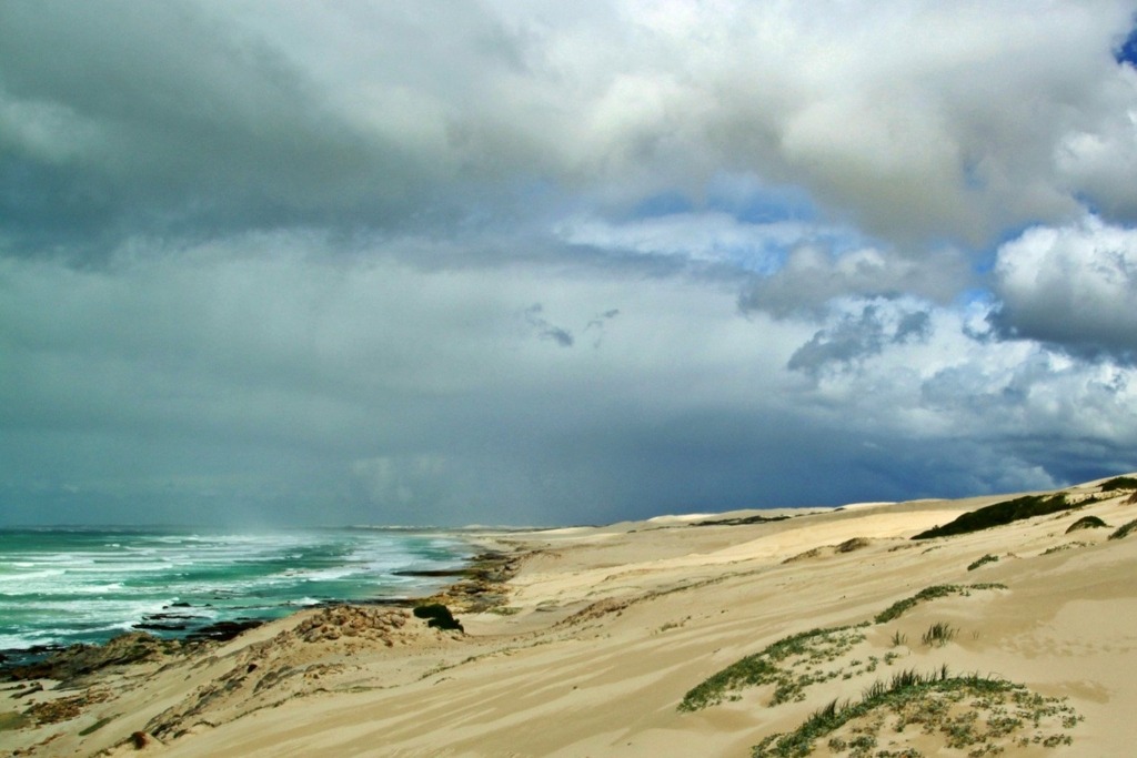 The Whale Hiking Trail