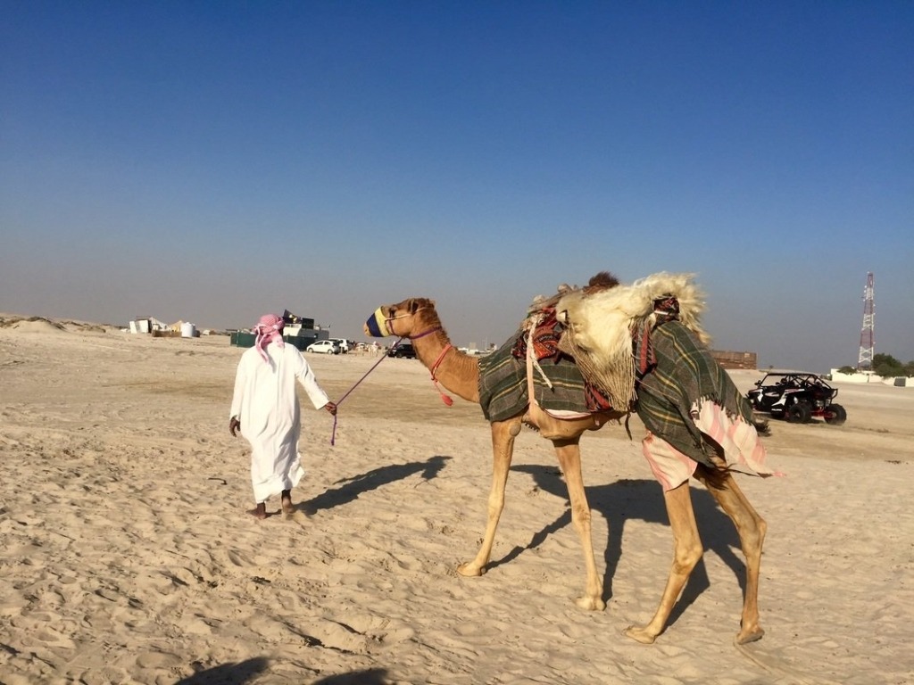 Desert Safari | What to Do in Doha Qatar in 48 Hours