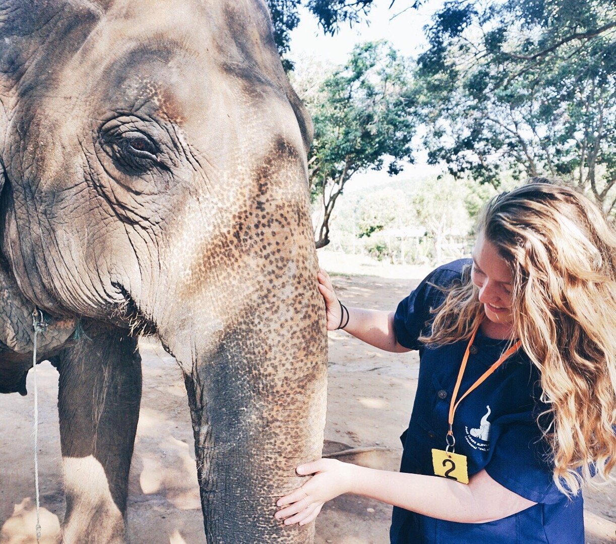 Thailand elephant experience