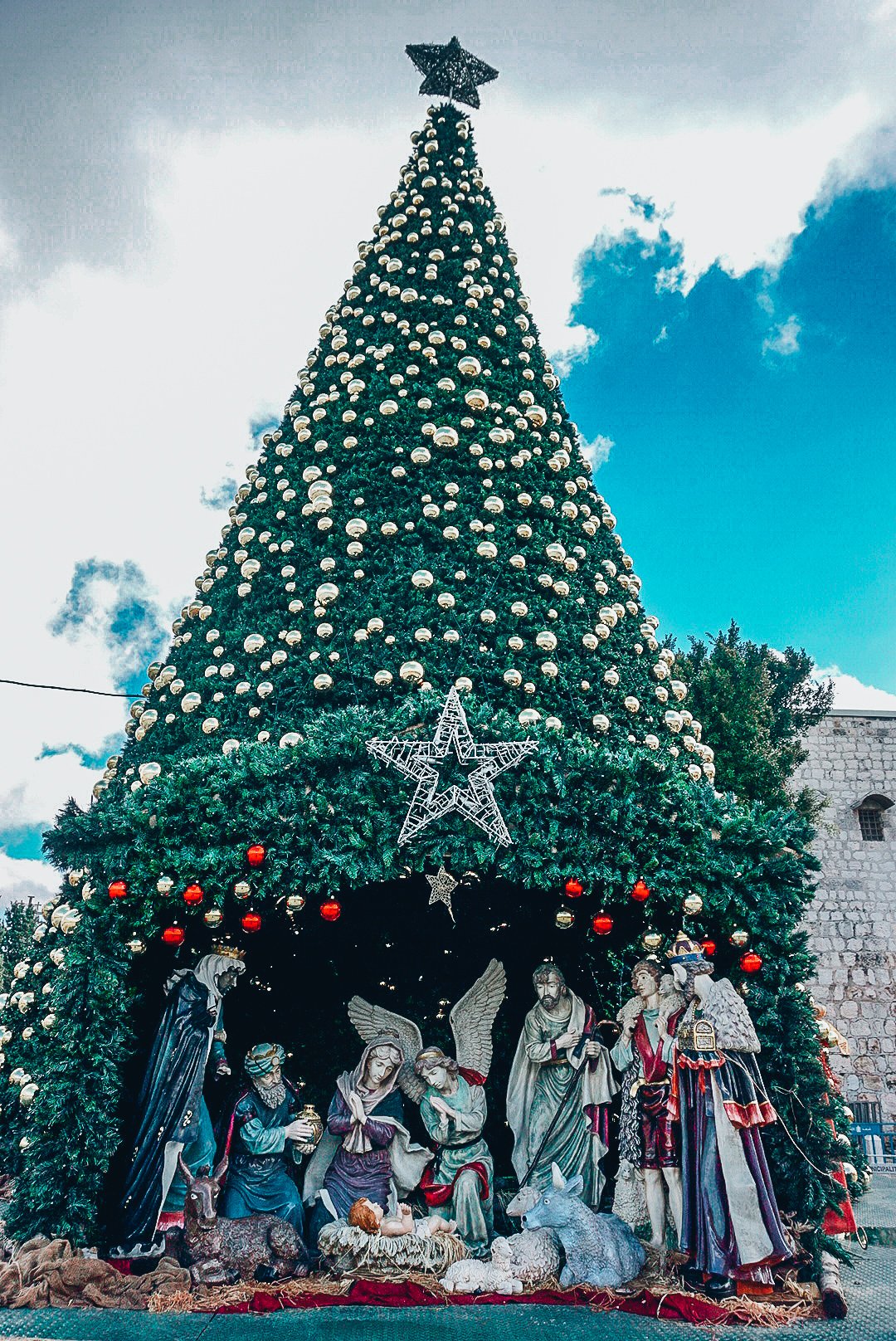 Bethlehem Christmas tree