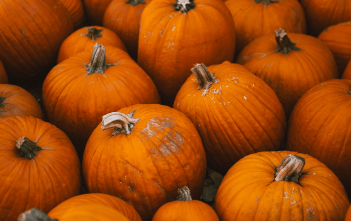 The Ultimate Fall Boise Bucket List [Fall 2024]