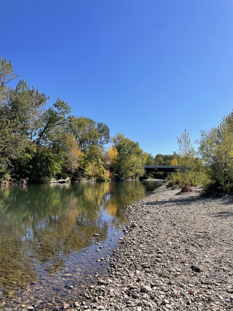 Boise River Float