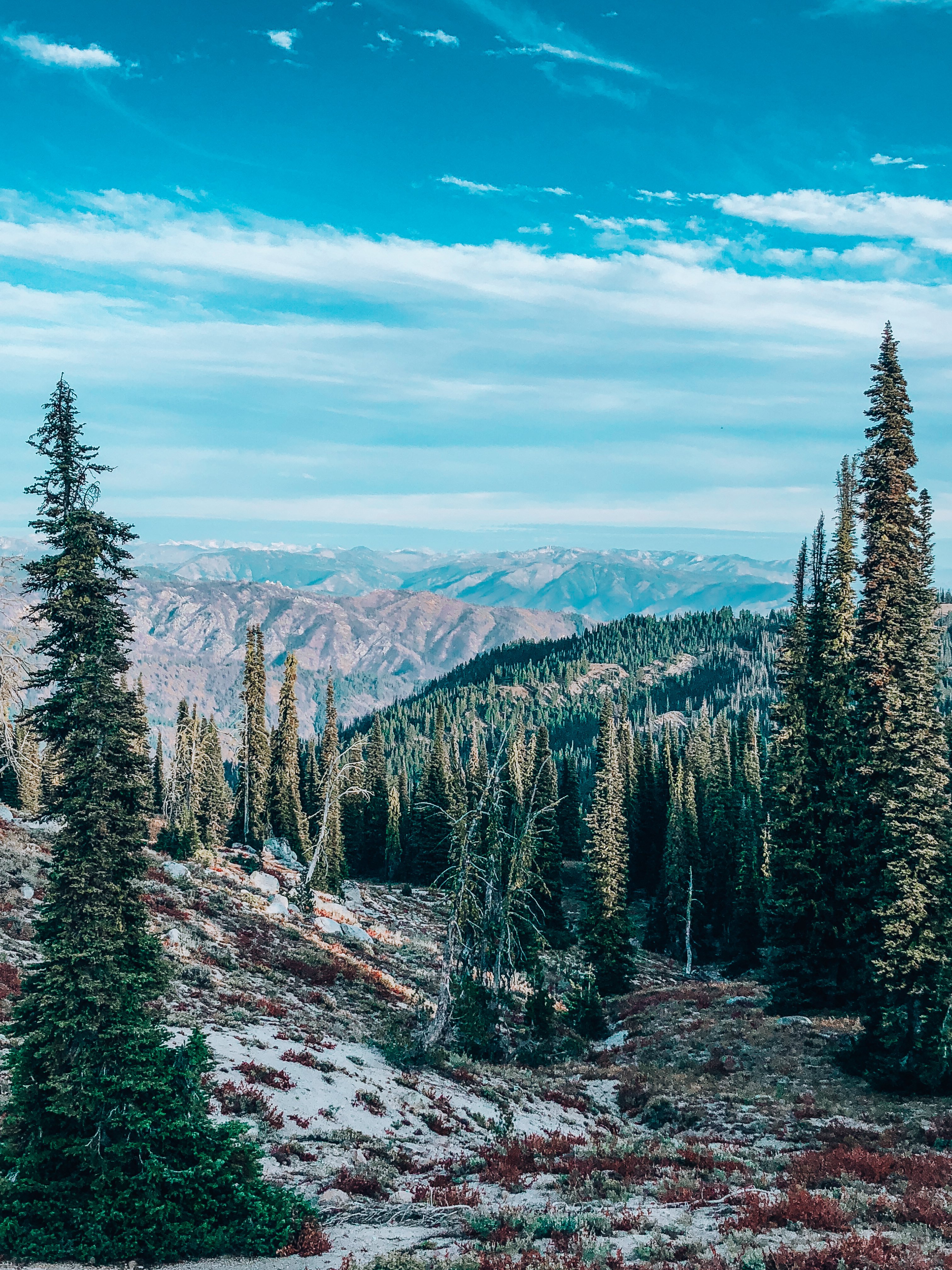 Deadwood Reservoir Camping Tips